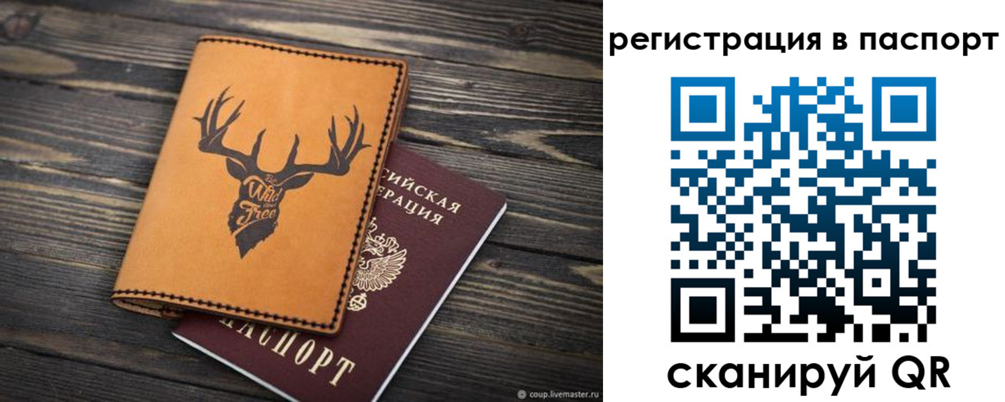 прописка паспорт в Ипатово